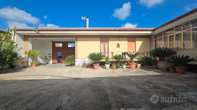 Indipendente su un livello con cortile di 265 mq