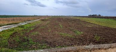 Terreno tra Barletta e Margherita su strada princ