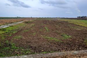 Terreno tra Barletta e Margherita su strada princ