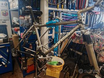 Telaio MTB alpine star e Rick shox