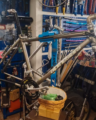 Telaio MTB alpine star e Rick shox