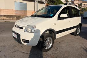 Fiat Panda 1.3 MJT 16V DPF 4x4 Climbing