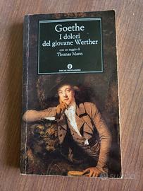 I dolori del giovane Werther