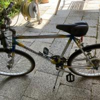 Bici montan bike
