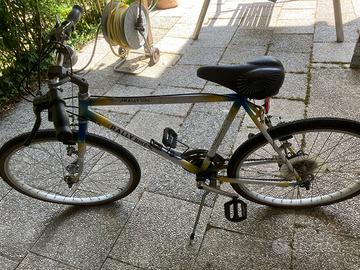 Bici montan bike