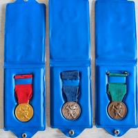 Medaglie Topolino Club