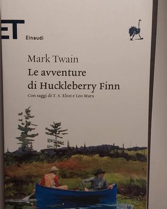 Le avventure di Huckleberry Finn