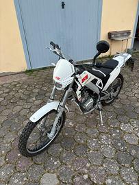 HM Locusta 200cc