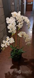 Orchidea artificiale