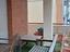 Immagine 13