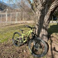 MTB Giant Trance X