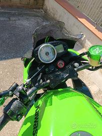 z1000 anno 2010