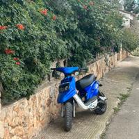 Booster Bw's piaggio bws LEGGERE DESCRIZIONE