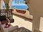 Immagine 7