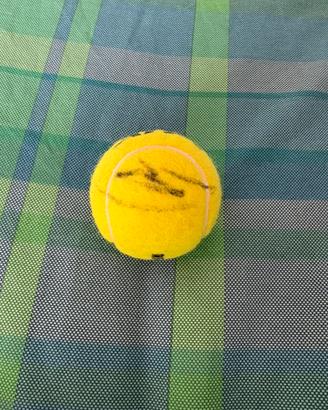 Pallina da tennis