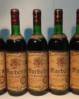Vino Rosso Barbera