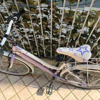 Mintain bike 24 pollici