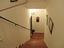 Immagine 11