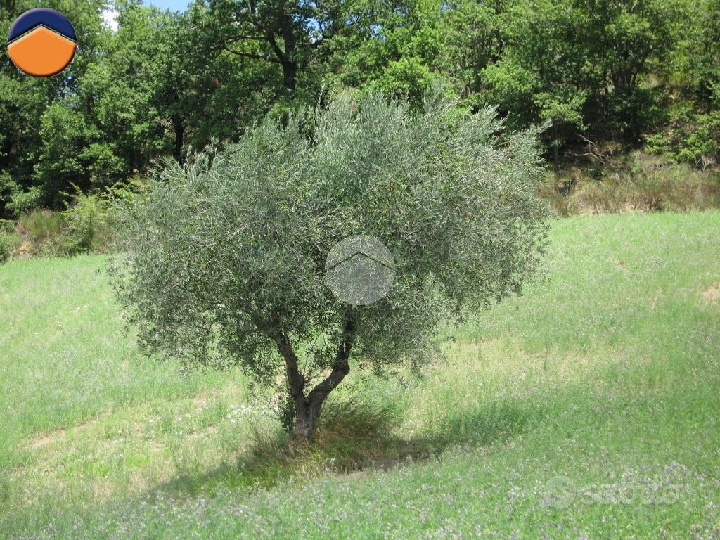 TER. RESIDENZIALE A COLLI AL METAURO - Vista 5