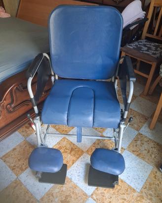 sedia a rotelle disabili