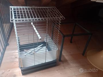 voliera kit completo per pappagalli 
