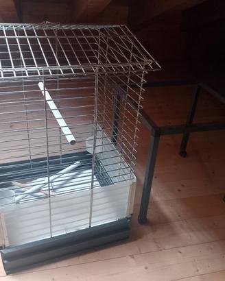 voliera kit completo per pappagalli 