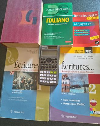 Lingua Francese