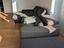 Immagine 2