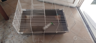 Gabbia coniglio