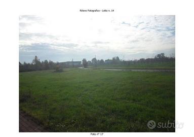 Immobile in asta di 23854 m² a Ravarino