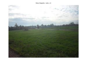 Immobile in asta di 23854 m² a Ravarino