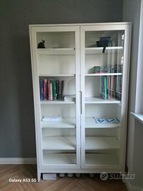 Libreria con anta in vetro 