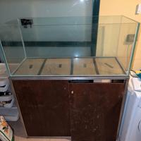 Acquario + Sumo + mobile