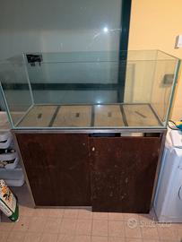 Acquario + Sumo + mobile