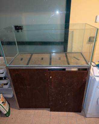 Acquario + Sumo + mobile