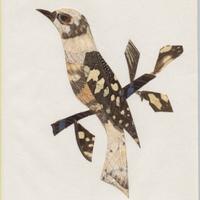 COMPOSIZIONE REALIZZATA CON ALI DI FARFALLE