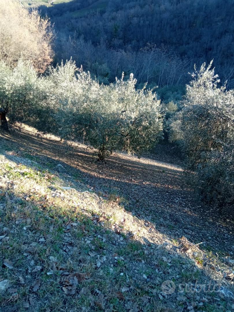 Terreno a Lucito (CB) - Vista 4