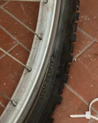 Bici bambina