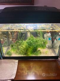Acquario Evoluzion 25L