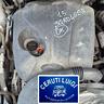 motore-dr-3-tipo-sqrd4g15b-1-5-benzina-gpl-