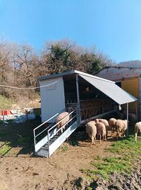 Carro per mungitura a 16 posti