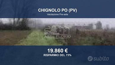 Immobile in asta di 19334 m² a Chignolo Po