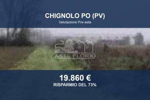 Immobile in asta di 19334 m² a Chignolo Po