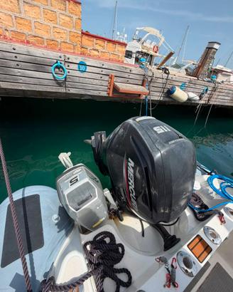 Motore fuoribordo barca Mercury F 115 ELPT CT