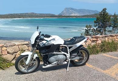 buell X1 lightning