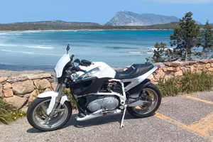 buell X1 lightning