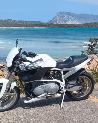 buell X1 lightning