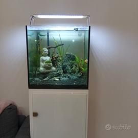 acquario AQ engeneering 40x40