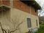 Immagine 7