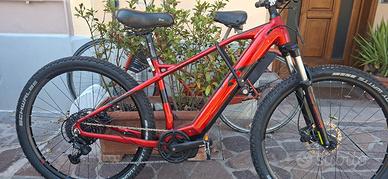ebike raymond